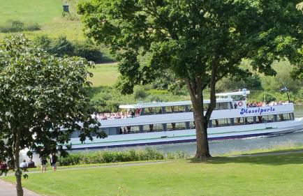 ferienhaus-raju-zeltingen - Foto 56