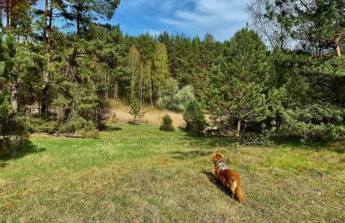 Domek nad jeziorem Guzowy Piec - Foto 16