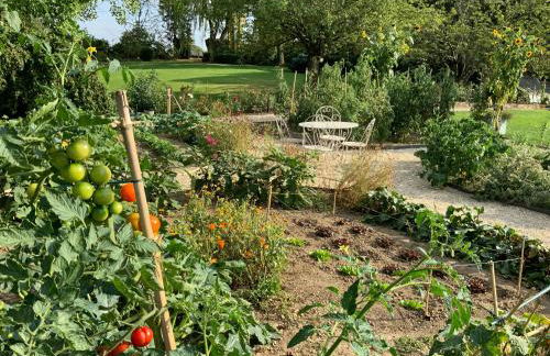 Le Gite du Chemin Vert - Foto 18