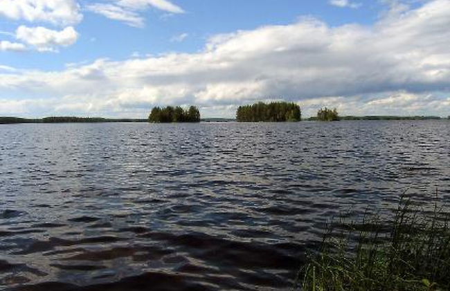 3 bedroom House in Pielavesi with sauna - Photo 7