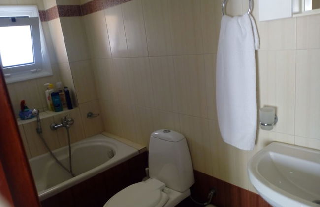 Garden Of Olive Trees - Photo 12