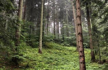 Jaśminowa Pracownia - Foto 18