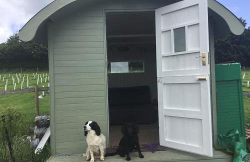 Quoit X Barn - Foto 43