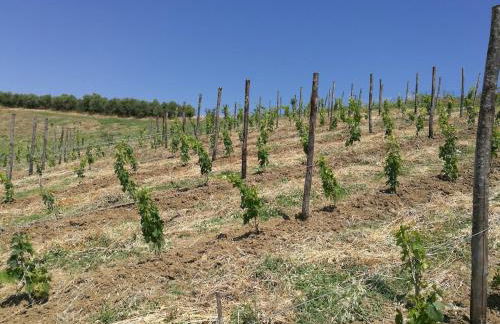 Modern villa with panoramic view - Photo 23