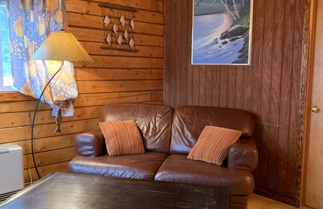 Joy's Kenai River Cabins - Foto 38