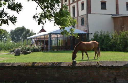 Ferienanlage Gutshaus Gramkow - Foto 23