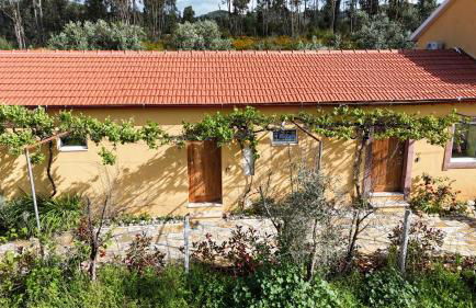 Quinta-lina de serpins - Foto 77