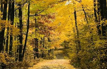 Group Lake Cabin with Ping Pong Table Loaded with Kayaks in Wisconsin - Foto 46
