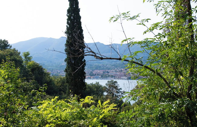 La Colomba - Foto 35