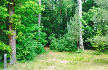 Leśne Zacisze - Foto 15