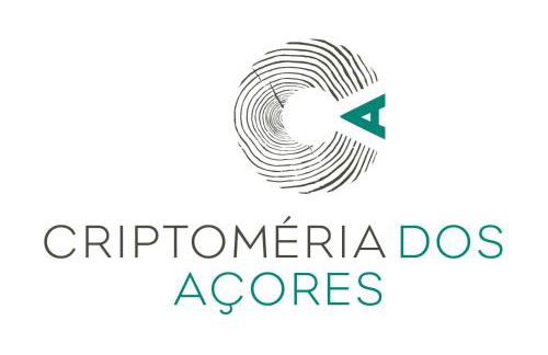 Porto Pim Bay - Foto 27