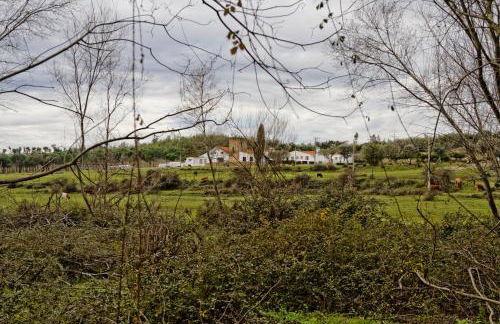 Herdade da Maxuqueira - Foto 49