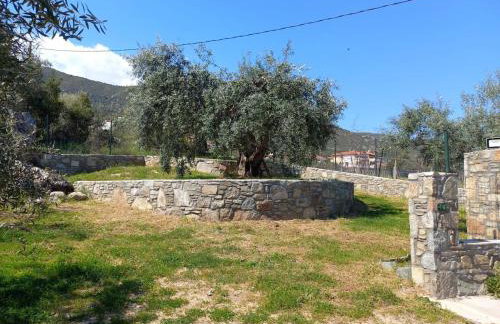 Campus Verde - Foto 18