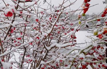 Niki Mountain House - Photo 42