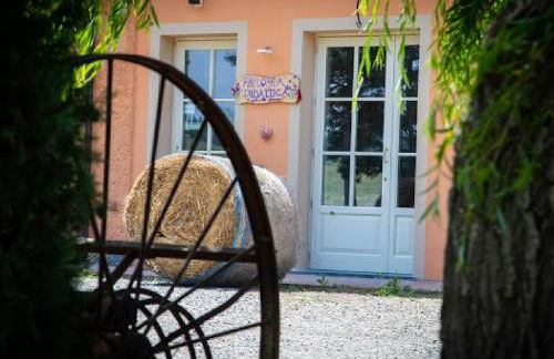 Agriturismo La Valle della Lavanda - Podere Mezzastrada - Foto 5