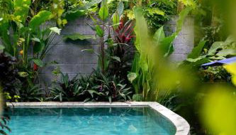 Casa Anavilhanas - Foto 2