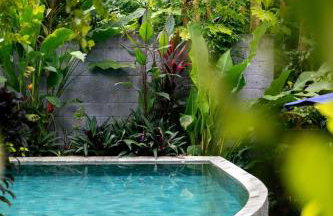 Casa Anavilhanas - Foto 2