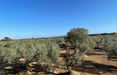 La Plana “alojamiento turístico vacacional” - Foto 73