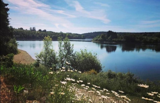 Comfortable Cottage Near Lake Cherapont - Photo 38