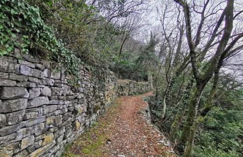 Near Villa Monastero and Castello di Vezio - Foto 57