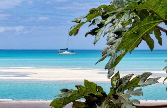 Orange Creek Inn - Foto 25