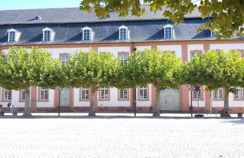 Moderne Wohnung in barockem Altstadthaus nahe Altstadt und Radweg - Photo 37