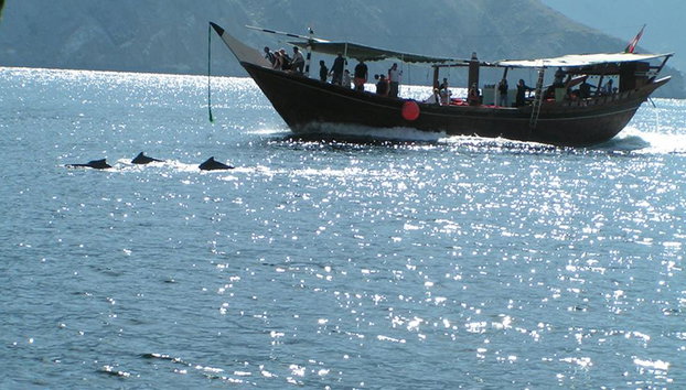 Dolphin Watching Boat Tour - Photo 2