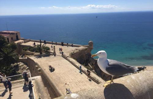 Apartamento centrico castillo s. Barbara - Foto 34