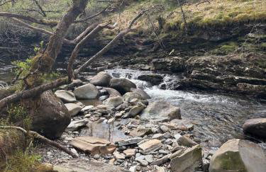 Fortingall Cottage - Dalmally - Foto 23