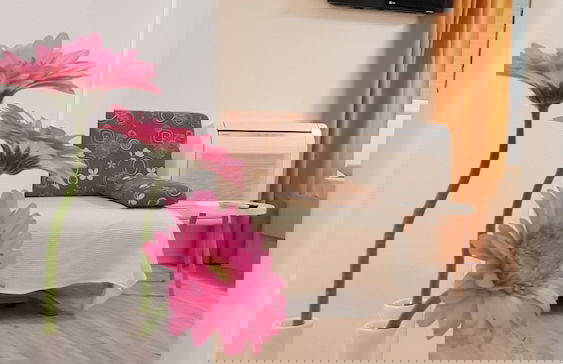 Galeria Nura - Foto 11