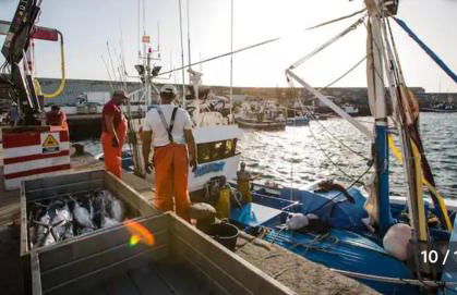 Syambeach Arguineguin - Foto 29