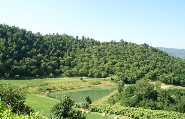 Serene Farmhouse in Dicomano With Swimming Pool - Photo 52