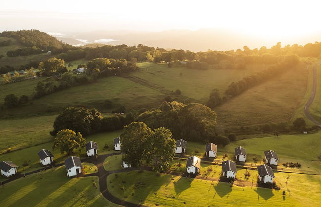 Beechmont Estate - Foto 9