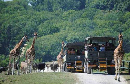 Cosy Cabin, hidden from the main house - Sleeps 2 - EV - Foto 55