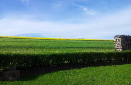 Ferienwohnung Fliederweg - Foto 6