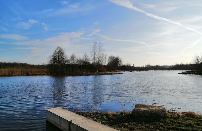 Nice Chalet by the Woods in Saint-leger - Photo 39