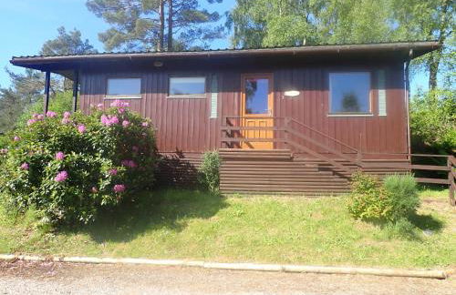 Solstice Cabin - Photo 20