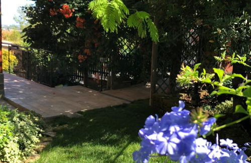 la casetta del tesoro - Foto 5