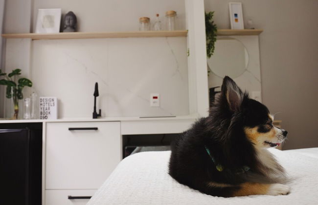 Apê Metrô Paraíso - Photo 22