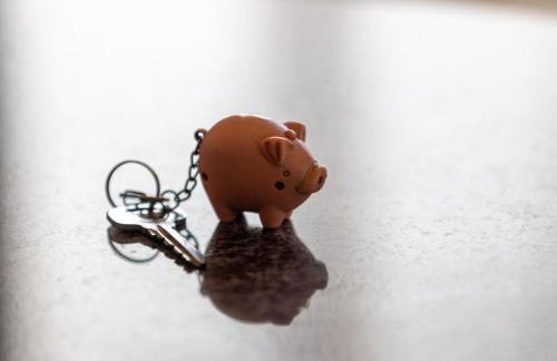 The Pig Arc - Foto 27