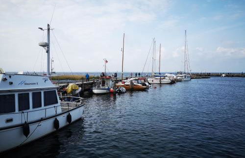 Familienfreundliches Ferienhaus Salzhaff-Urlaub - Foto 41