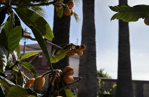 Casa La Quinta - Foto 10