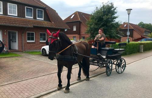 Ferienwohnungen Matschak OG rechts - Foto 12