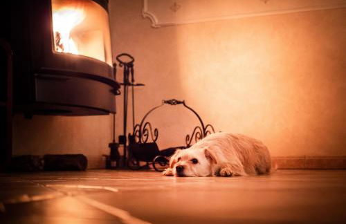 Ferienhaus SEERESIDENZ am Mühlensee - Foto 7