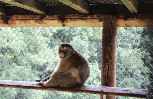 Ferienwohnung Rimbach - Foto 30