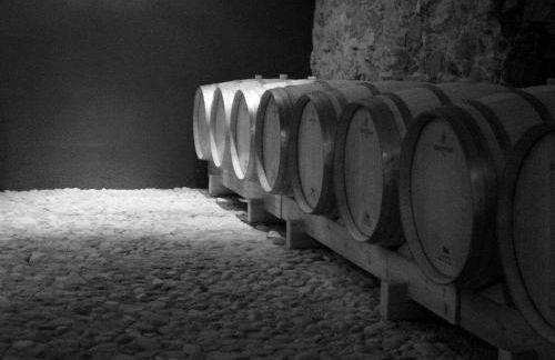 Ca l'Aixut Turismo Rural - Foto 43