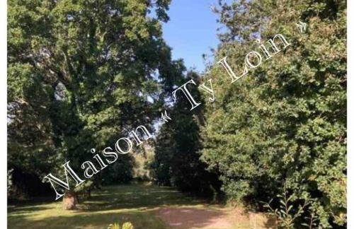 Villa Ty Loin vue mer 8 personnes - Foto 21