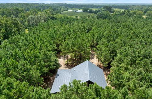 The Beary Top - Foto 78