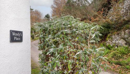 Wendy's Place - Foto 3