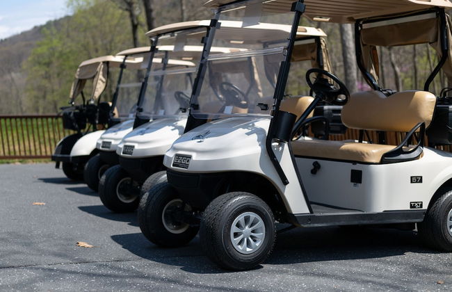 Massanutten's Regal Vistas by Tripforth - Foto 43